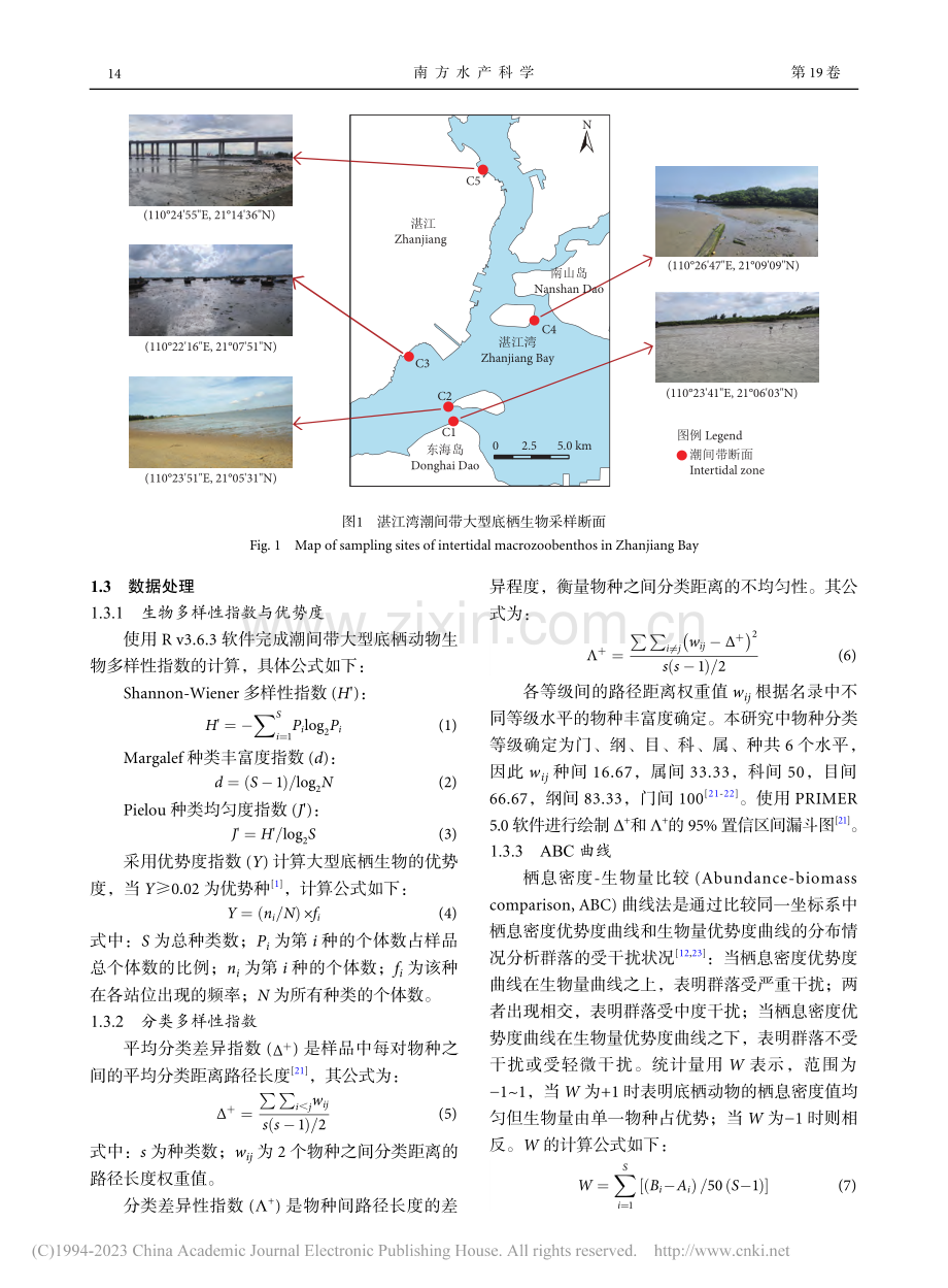 湛江湾潮间带大型底栖动物的群落结构及其受干扰程度_李北兴.pdf_第3页