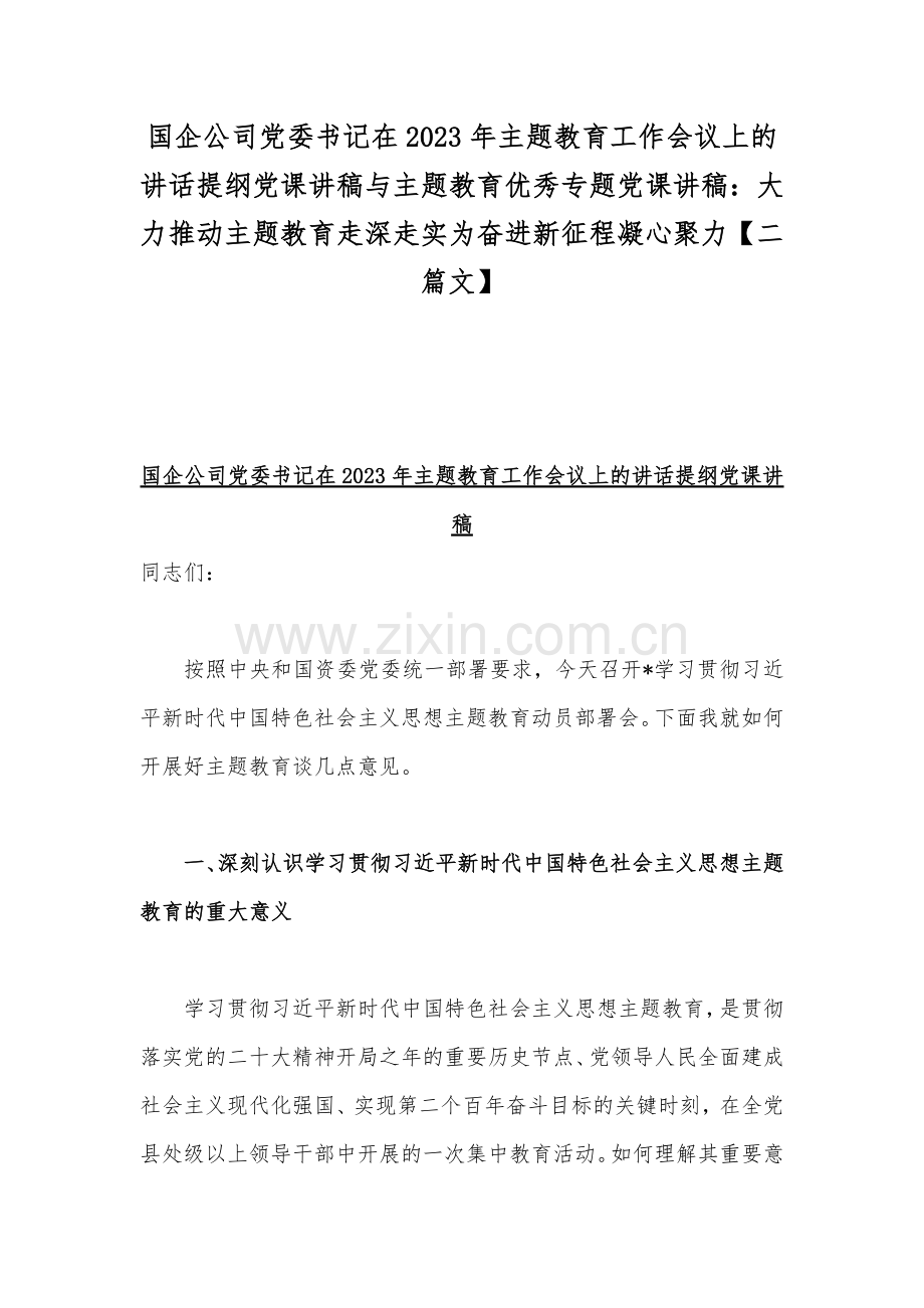 国企公司党委书记在2023年主题教育工作会议上的讲话提纲党课讲稿与主题教育优秀专题党课讲稿：大力推动主题教育走深走实为奋进新征程凝心聚力【二篇文】.docx_第1页