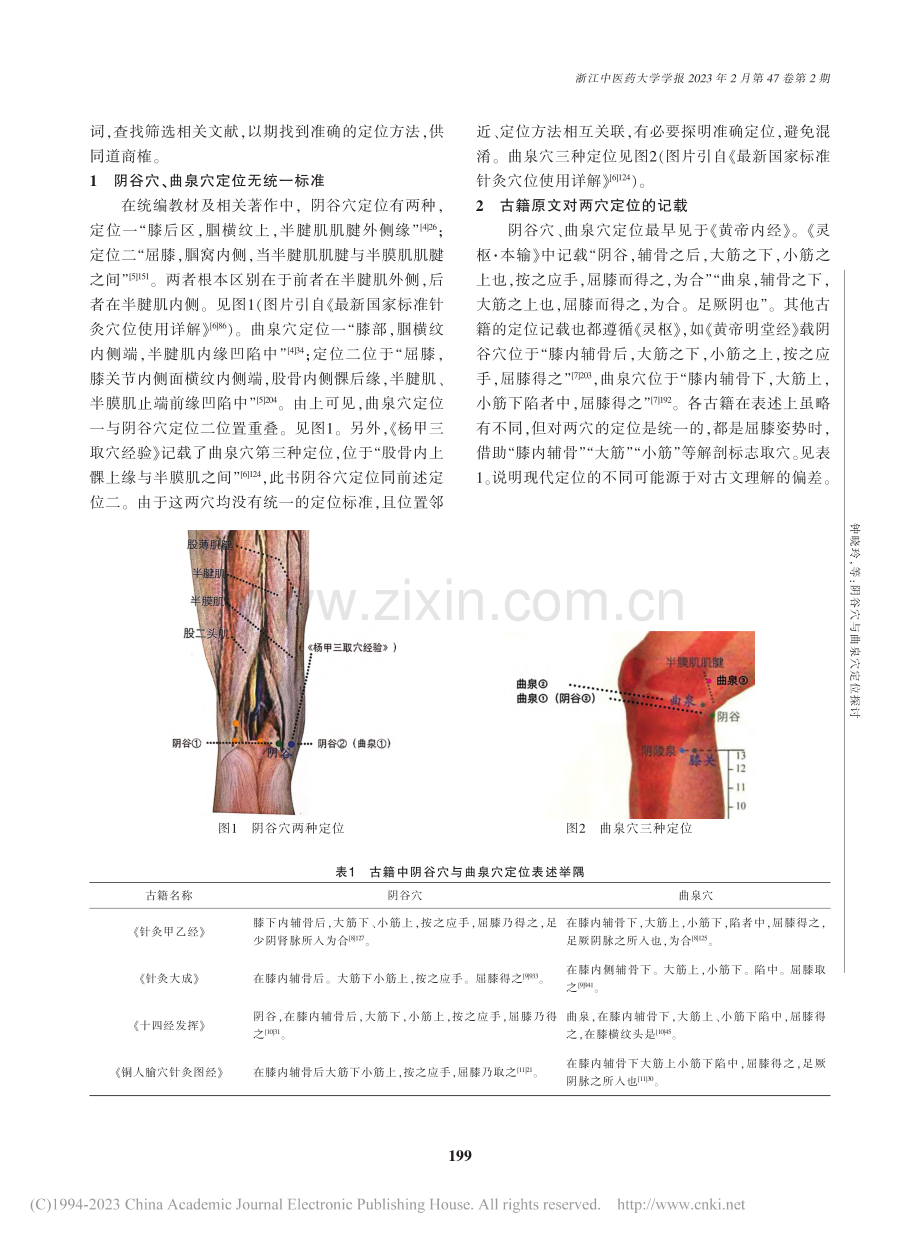 阴谷穴与曲泉穴定位探讨_钟晓玲.pdf_第2页