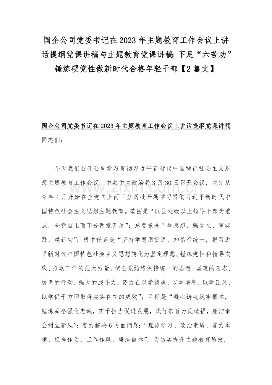 国企公司党委书记在2023年主题教育工作会议上讲话提纲党课讲稿与主题教育党课讲稿：下足“六苦功”锤炼硬党性做新时代合格年轻干部【2篇文】.docx_第1页