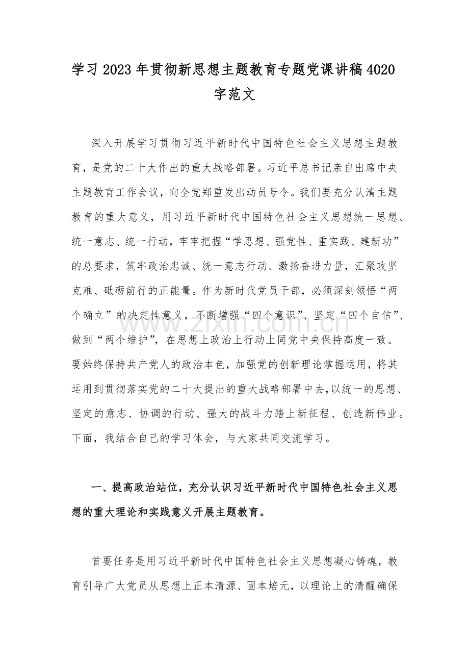 学习2023年贯彻新思想主题教育专题党课讲稿4020字范文.docx_第1页