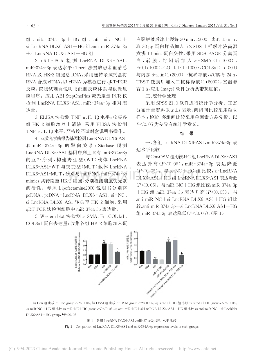 长链非编码生长停滞特异性蛋...损伤及纤维化分子机制的研究_邹宏昌.pdf_第3页