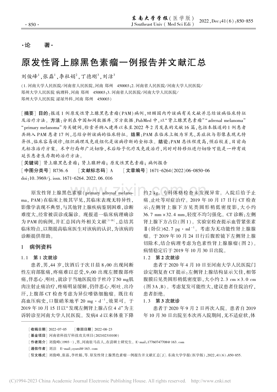 原发性肾上腺黑色素瘤一例报告并文献汇总_刘俊峰.pdf_第1页