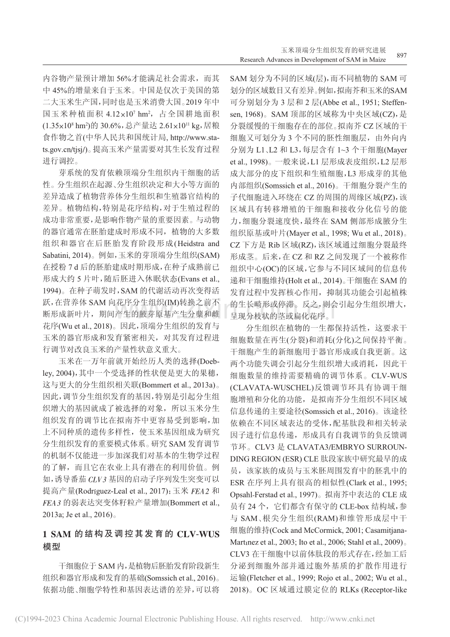 玉米顶端分生组织发育的研究进展_史勇.pdf_第2页