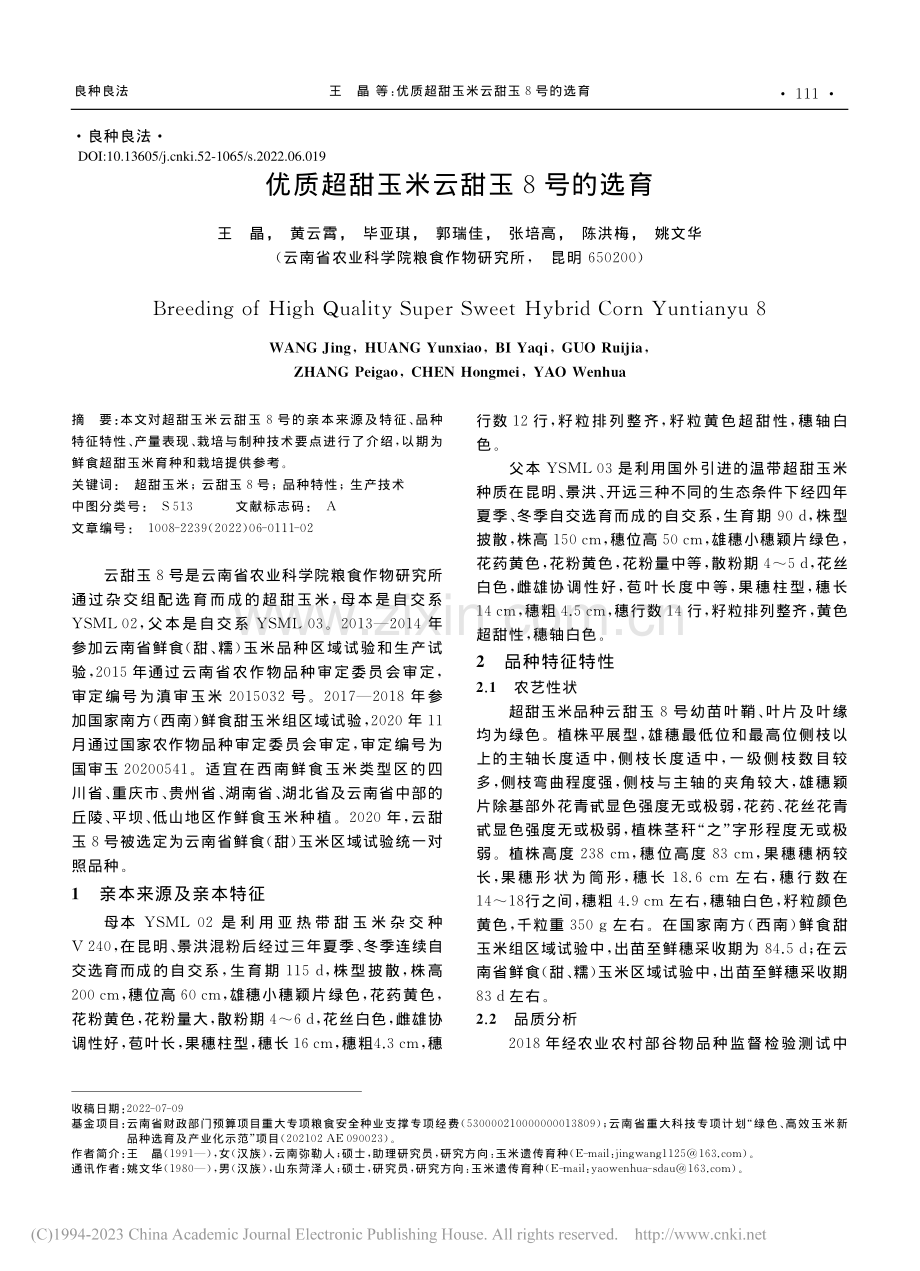 优质超甜玉米云甜玉8号的选育_王晶.pdf_第1页