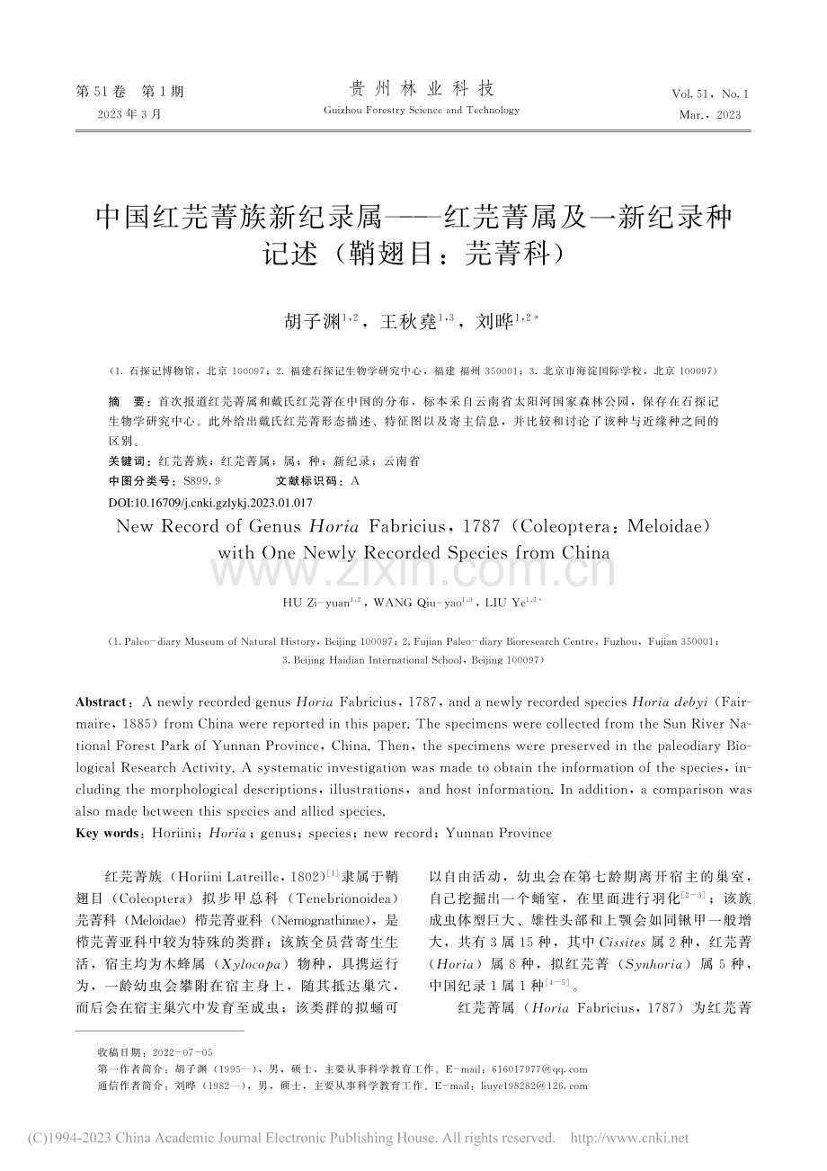 中国红芫菁族新纪录属——红...录种记述(鞘翅目：芫菁科)_胡子渊.pdf_第1页