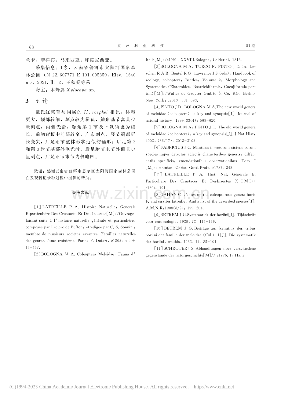 中国红芫菁族新纪录属——红...录种记述(鞘翅目：芫菁科)_胡子渊.pdf_第3页