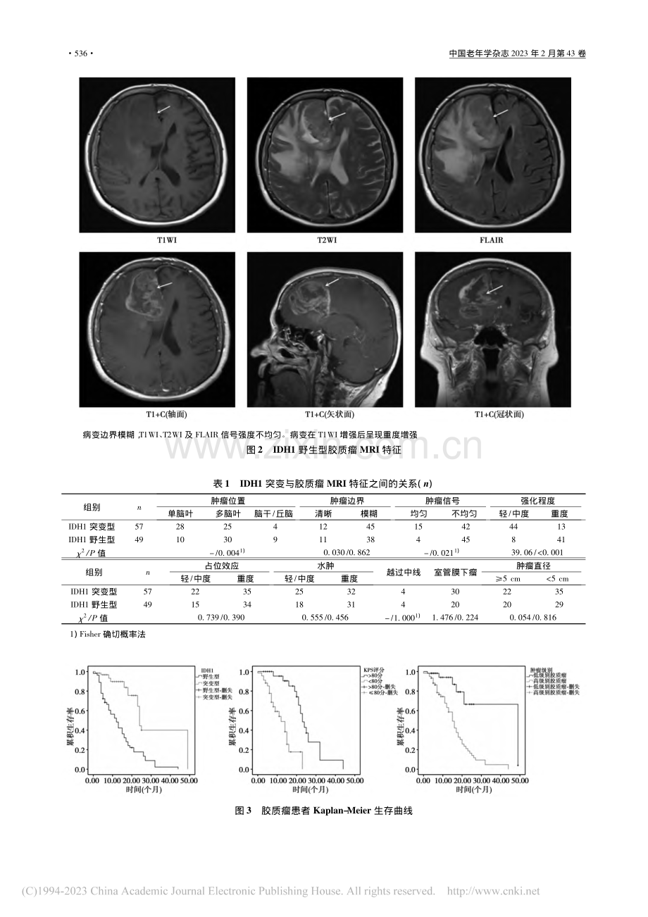 异柠檬酸脱氢酶1突变相关胶质瘤MRI特征及预后_李鹏.pdf_第3页