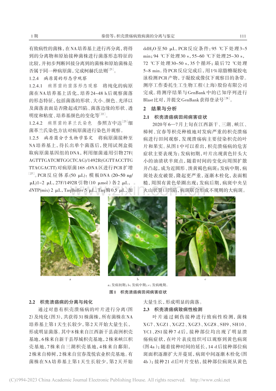 枳壳溃疡病致病菌的分离与鉴定_秦倩.pdf_第3页