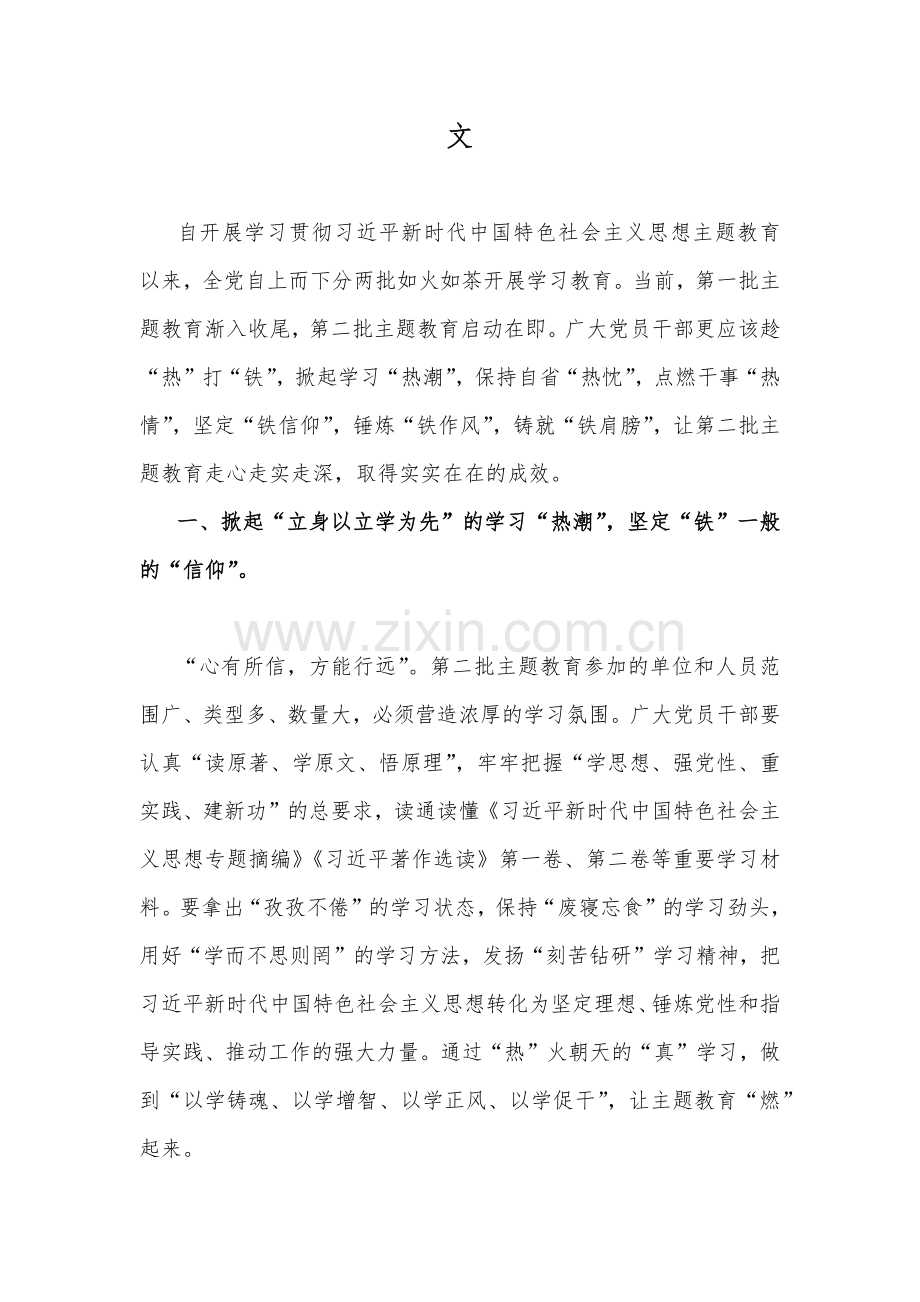 2023年第二批主题教育专题研讨发言材料、实施方案、党课学习讲稿、读书班开班讲话稿、工作任务清单计划安排（10篇word版文）供参考.docx_第2页