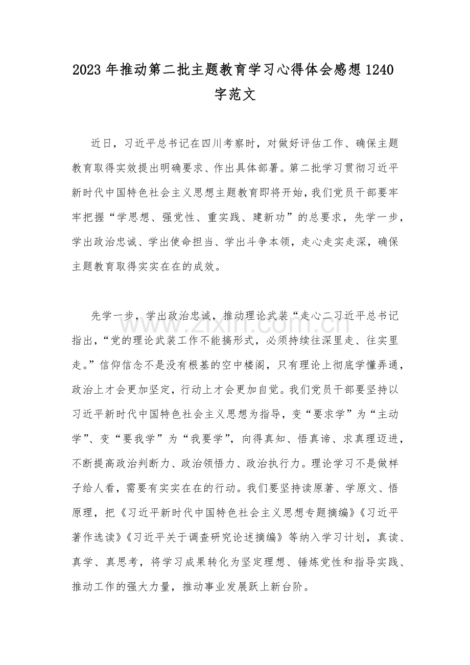 （多篇word版文）2023年推动第二批主题教育学习心得体会、交流发言稿、实施方案、党课讲稿、专题党课讲稿宣讲报告.docx_第2页