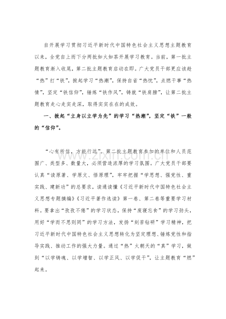 2023年第二批主题教育专题研讨发言材料、实施方案、党课学习讲稿、动员部署会讲话提纲、党支部学习计划、研讨材料（10篇word版文）供参考.docx_第2页