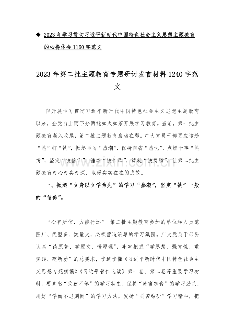 2023年第二批主题教育专题研讨交流发言材料、实施方案、专题党课讲稿、心得体会（多篇word文）供参考.docx_第2页