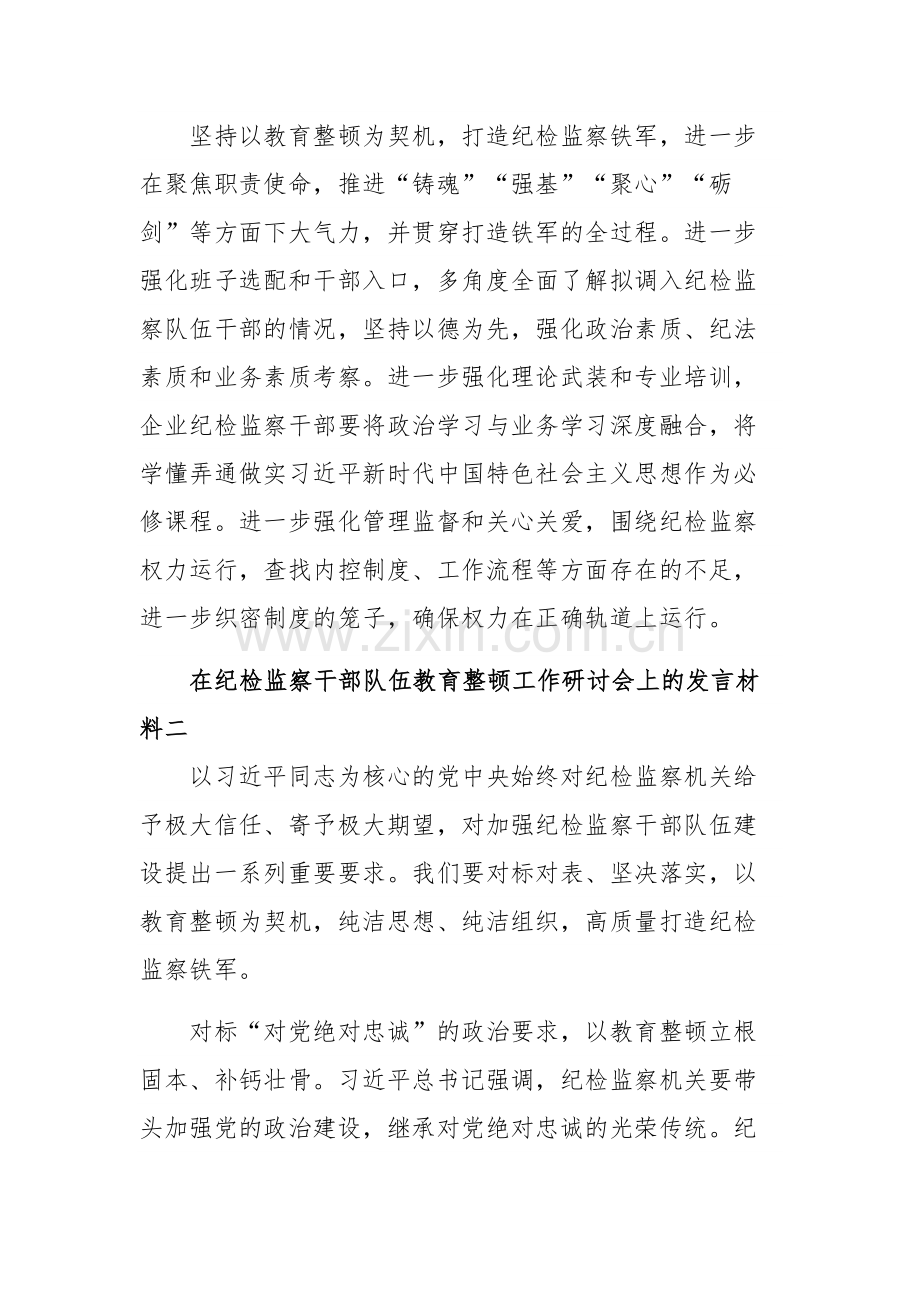 在纪检监察干部队伍教育整顿工作研讨会上的发言材料汇篇范文.docx_第3页