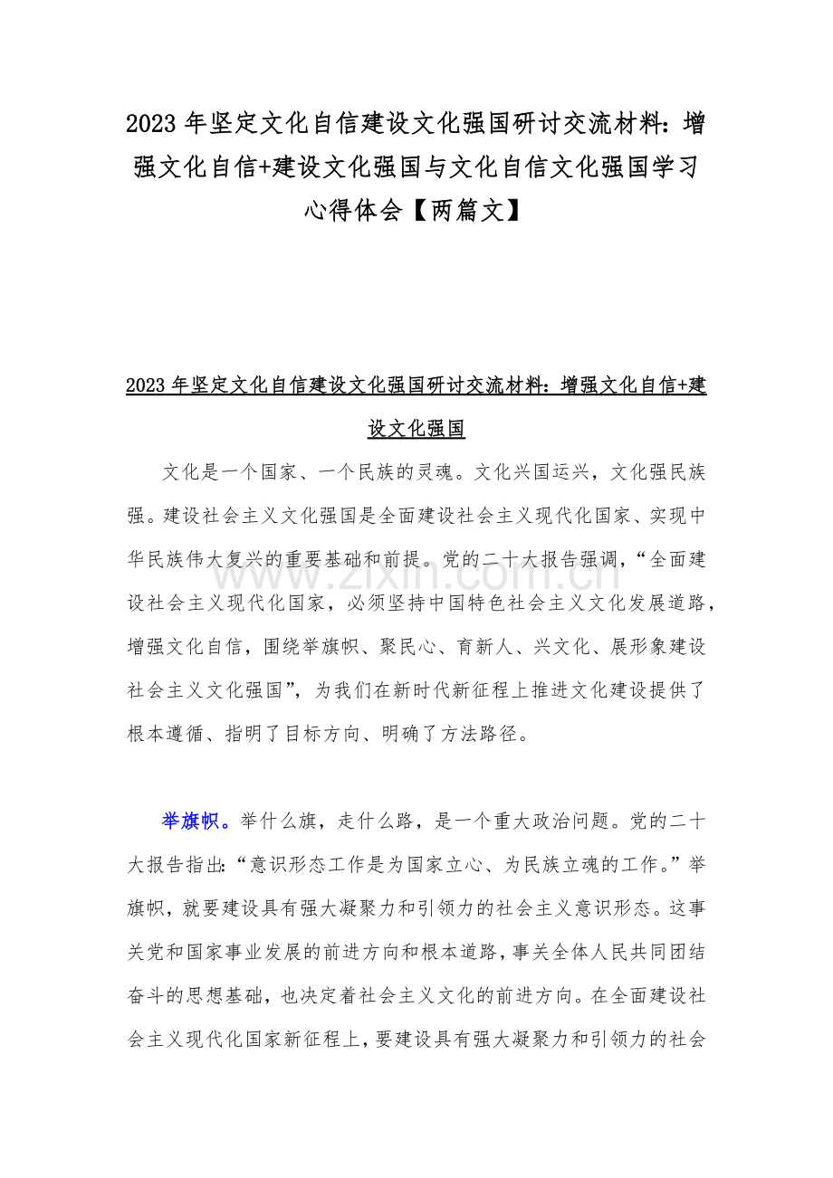 2023年坚定文化自信建设文化强国研讨交流材料：增强文化自信+建设文化强国与文化自信文化强国学习心得体会【两篇文】.docx_第1页