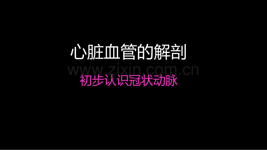 多层螺旋CT冠状动脉疾病诊断再学习之一.ppt_第2页