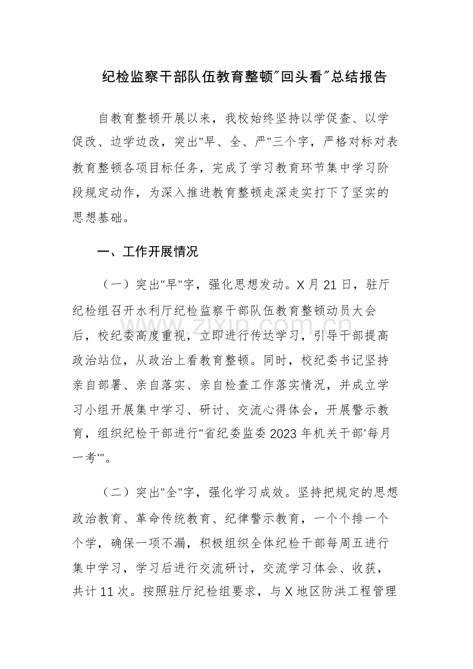 纪检监察干部队伍教育整顿回头看总结报告范文.docx_第1页