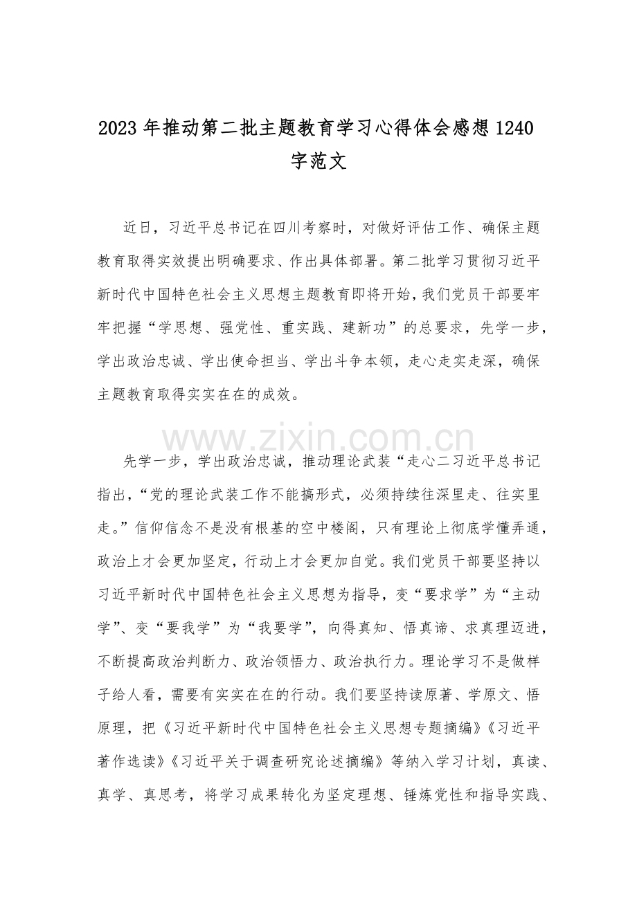 推动第二批主题教育学习心得体会、交流发言稿、实施方案、主题教育专题党课讲稿（10篇word文）供借鉴.docx_第2页