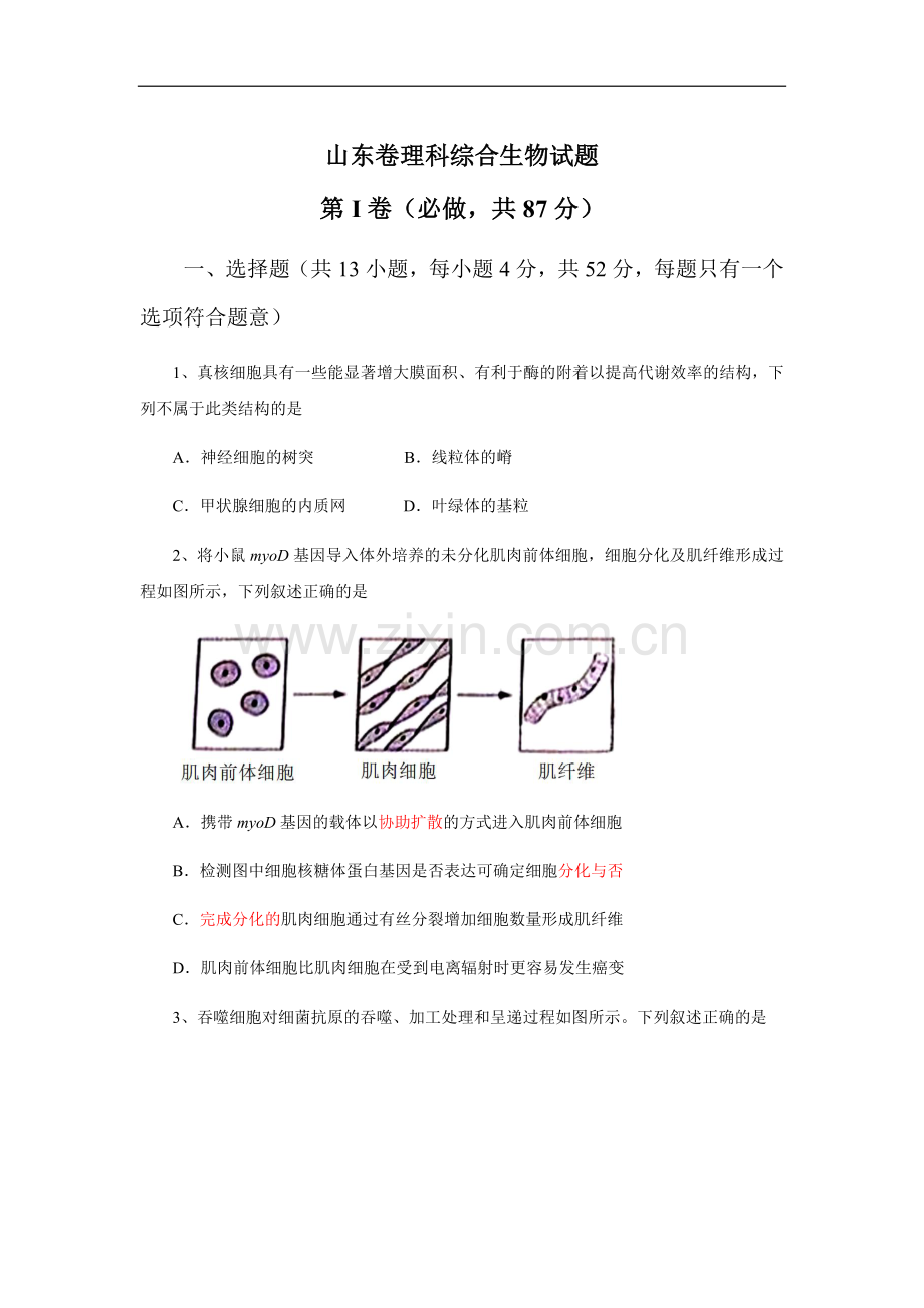 2013年高考真题 生物(山东卷)（原卷版）.docx_第1页