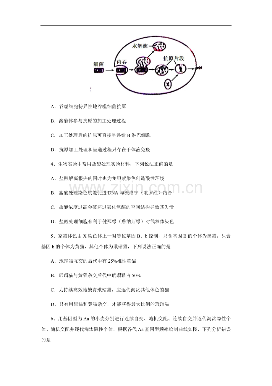 2013年高考真题 生物(山东卷)（原卷版）.docx_第2页