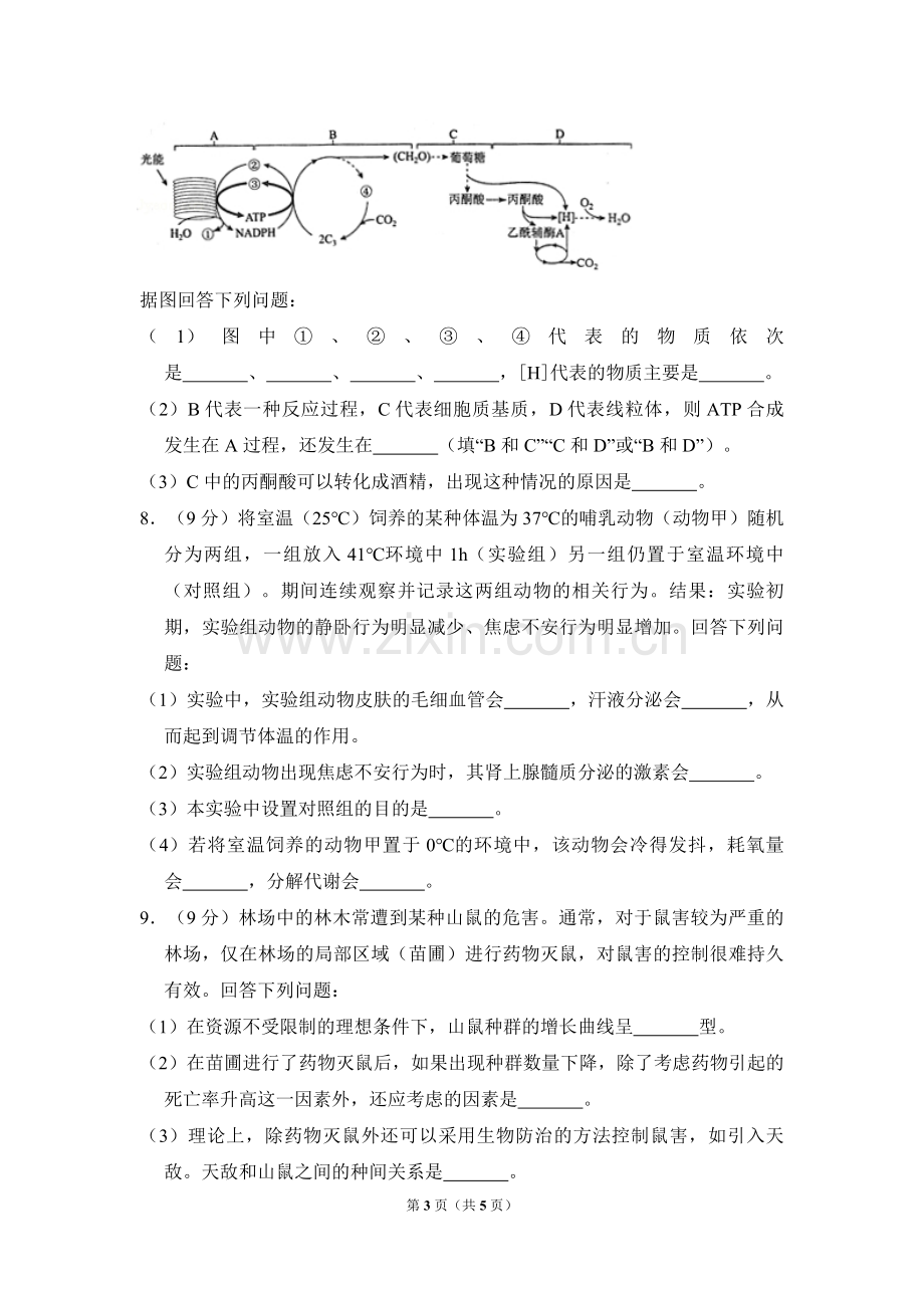 2017年全国统一高考生物试卷（新课标ⅱ）（原卷版）.pdf_第3页