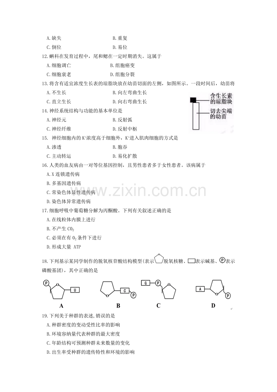 2016年浙江省高考生物【4月】（原卷版）.doc_第2页