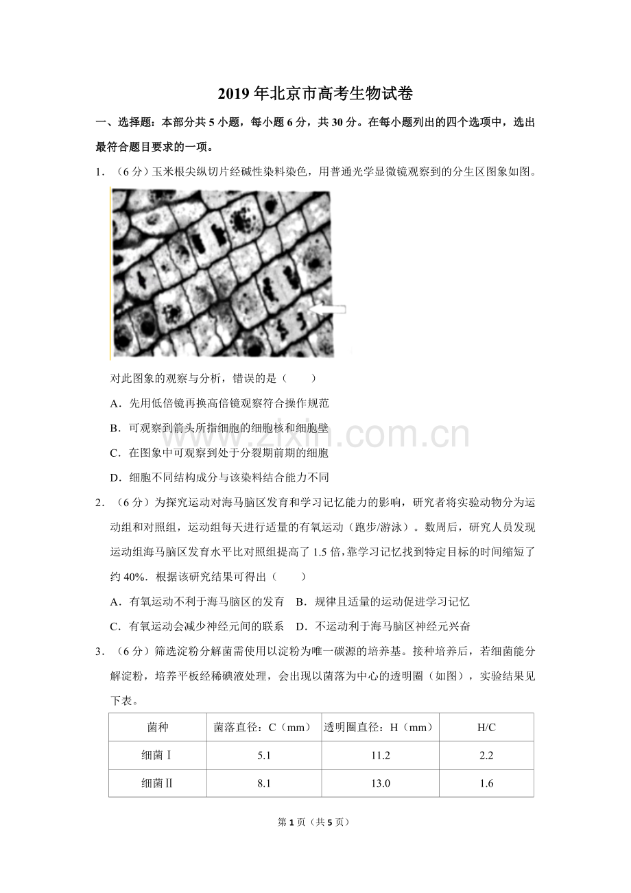 2019年北京市高考生物试卷（原卷版）.doc_第1页