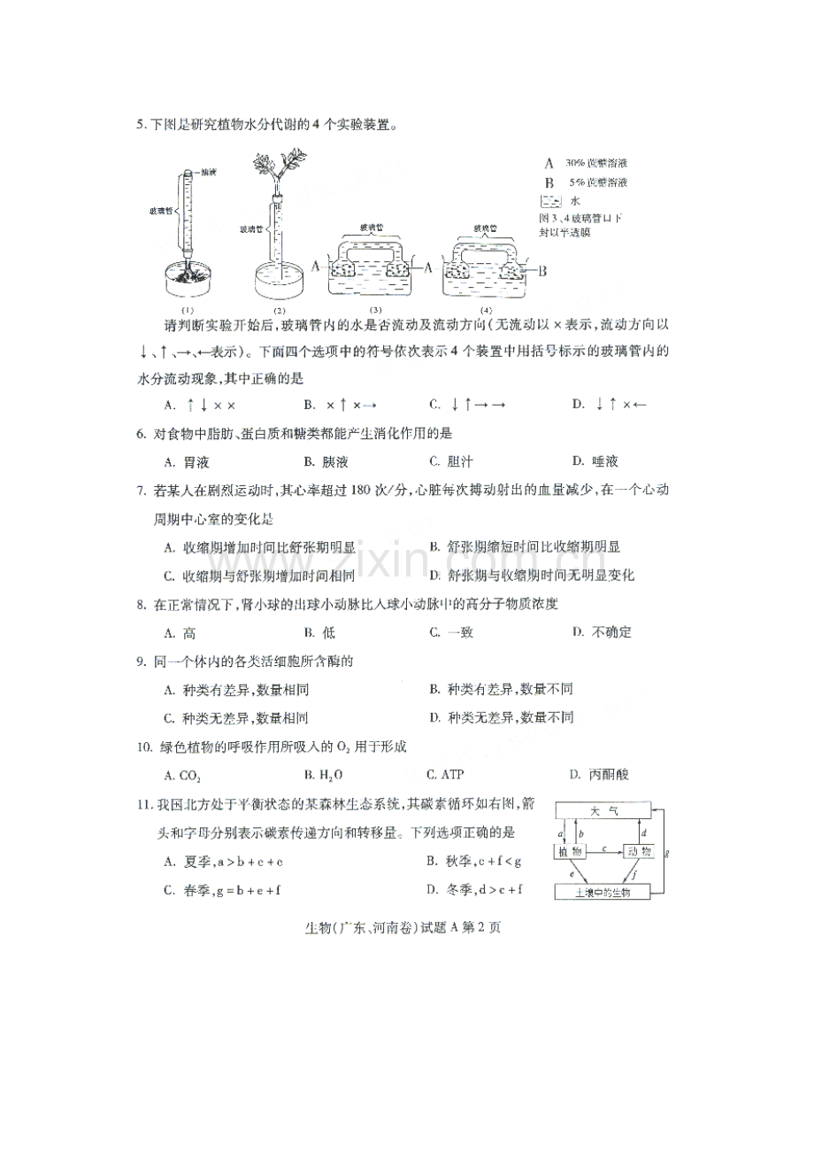 2001年广东高考生物真题及答案(图片版).doc_第2页