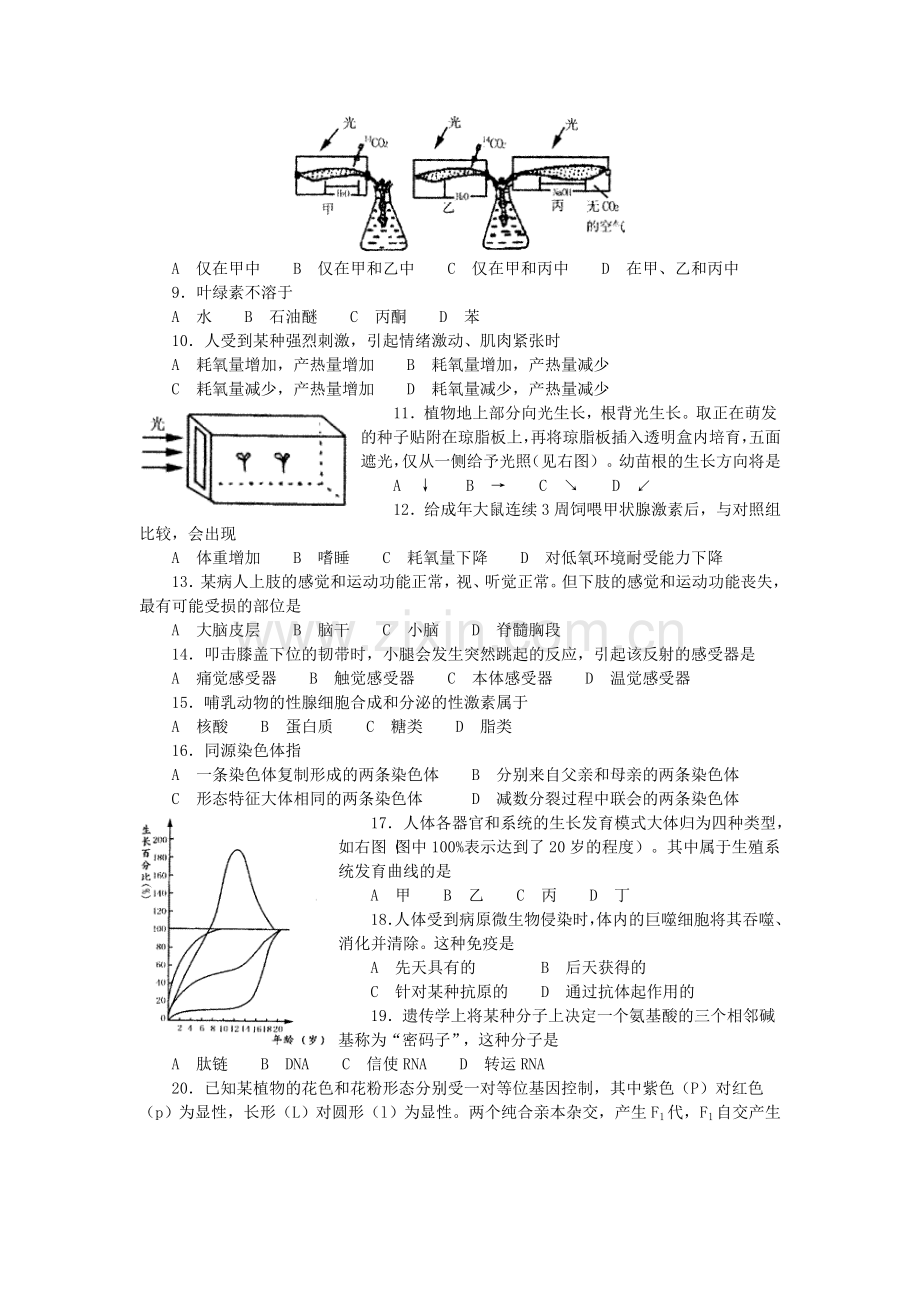 2002年广东高考生物真题及答案.doc_第2页