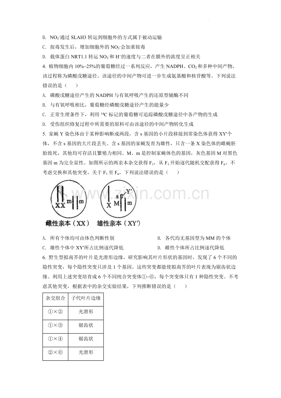 题目2022年山东省学业水平选择性考试生物试题（原卷版）.docx_第2页