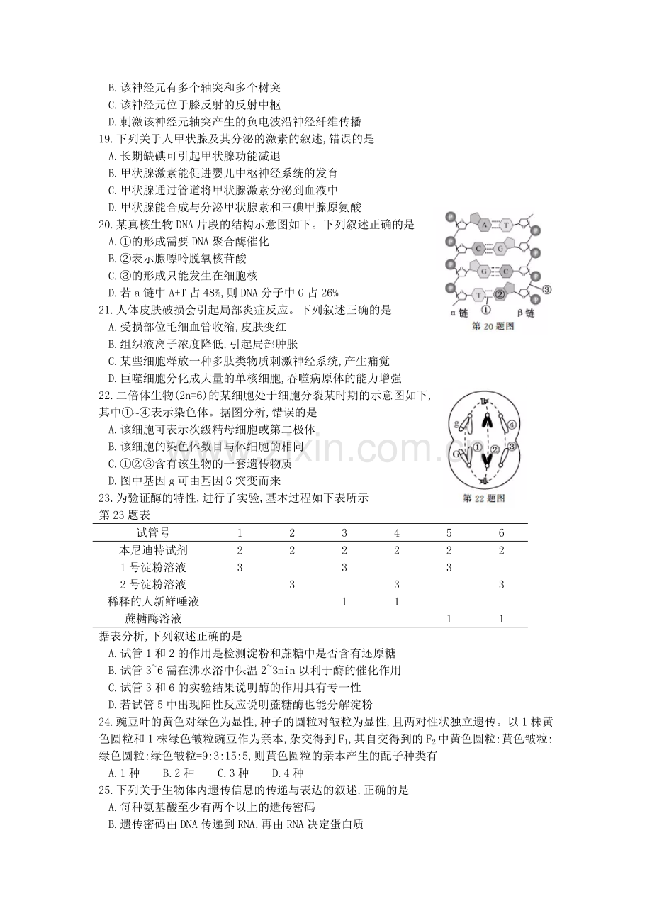 2017年浙江省高考生物【11月】（含解析版）.docx_第3页