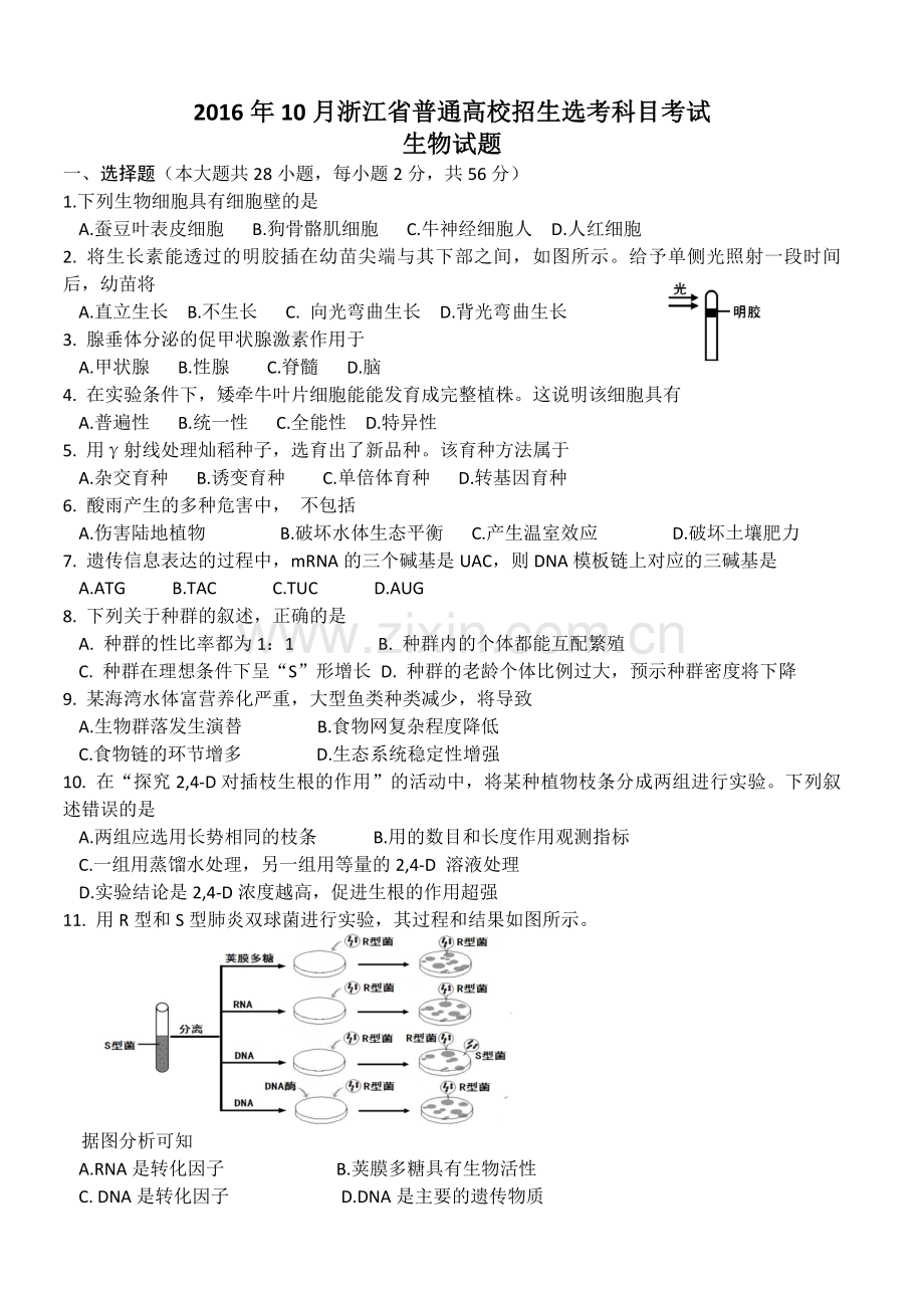 2016年浙江省高考生物【10月】（原卷版）.pdf_第1页