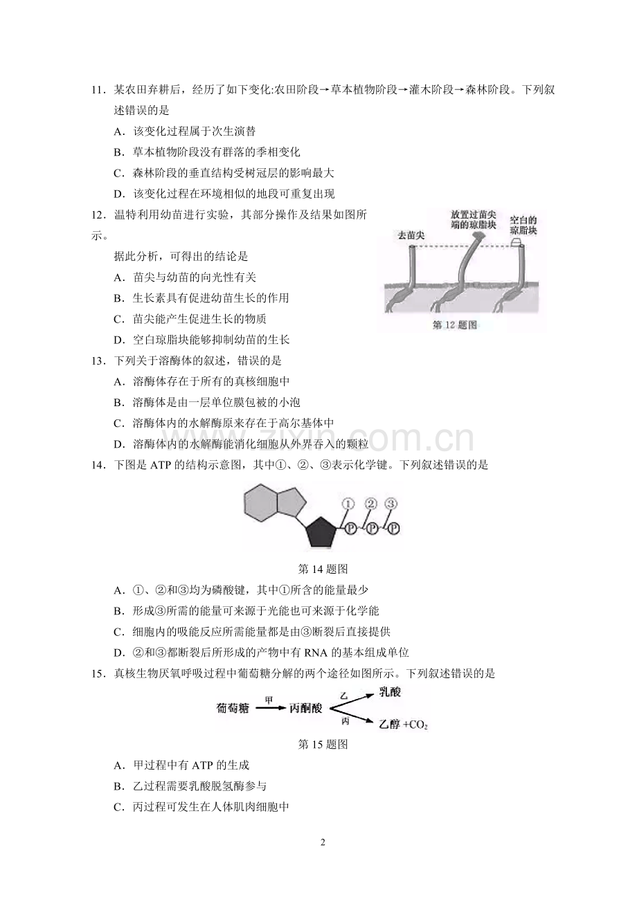 2019年浙江省高考生物【1月】（原卷版）.docx_第2页