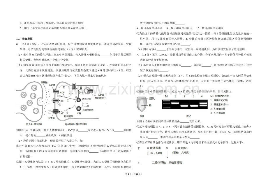 2017年北京市高考生物试卷（含解析版）.pdf_第2页