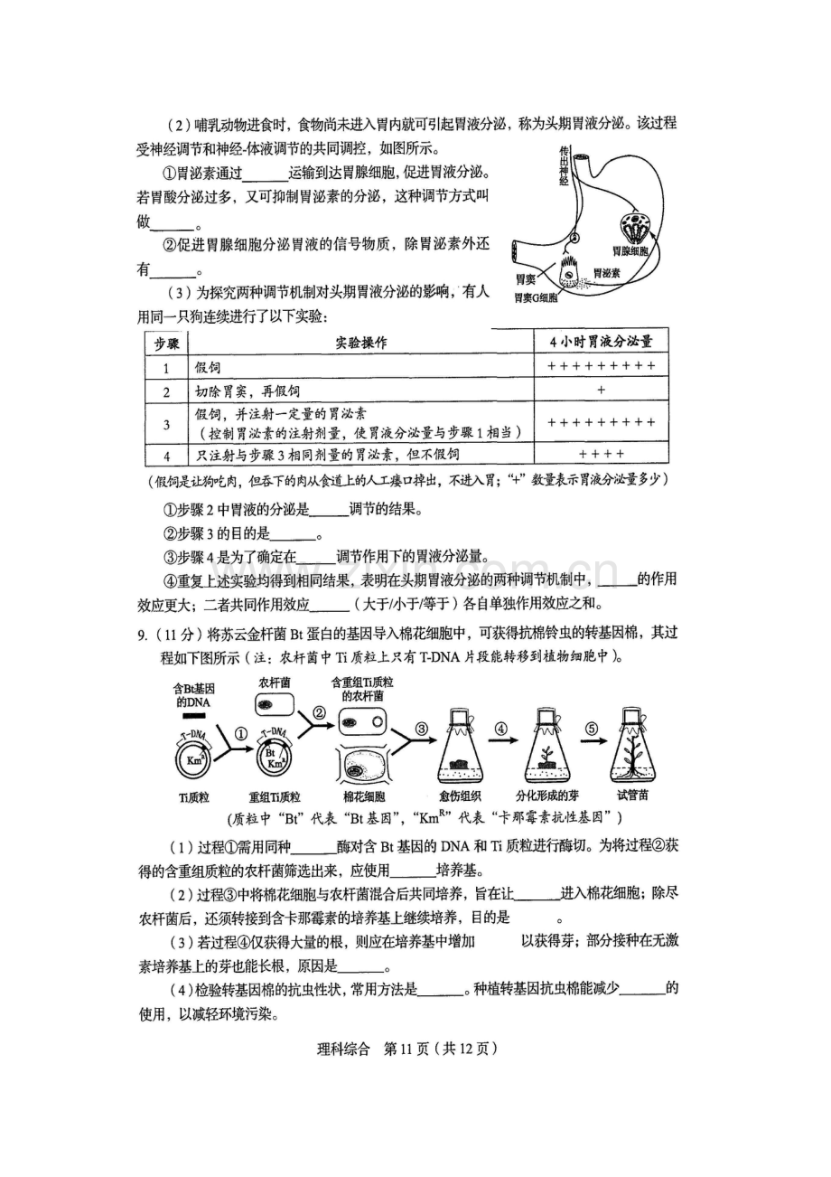 2015年四川省高考生物试卷及答案.doc_第3页