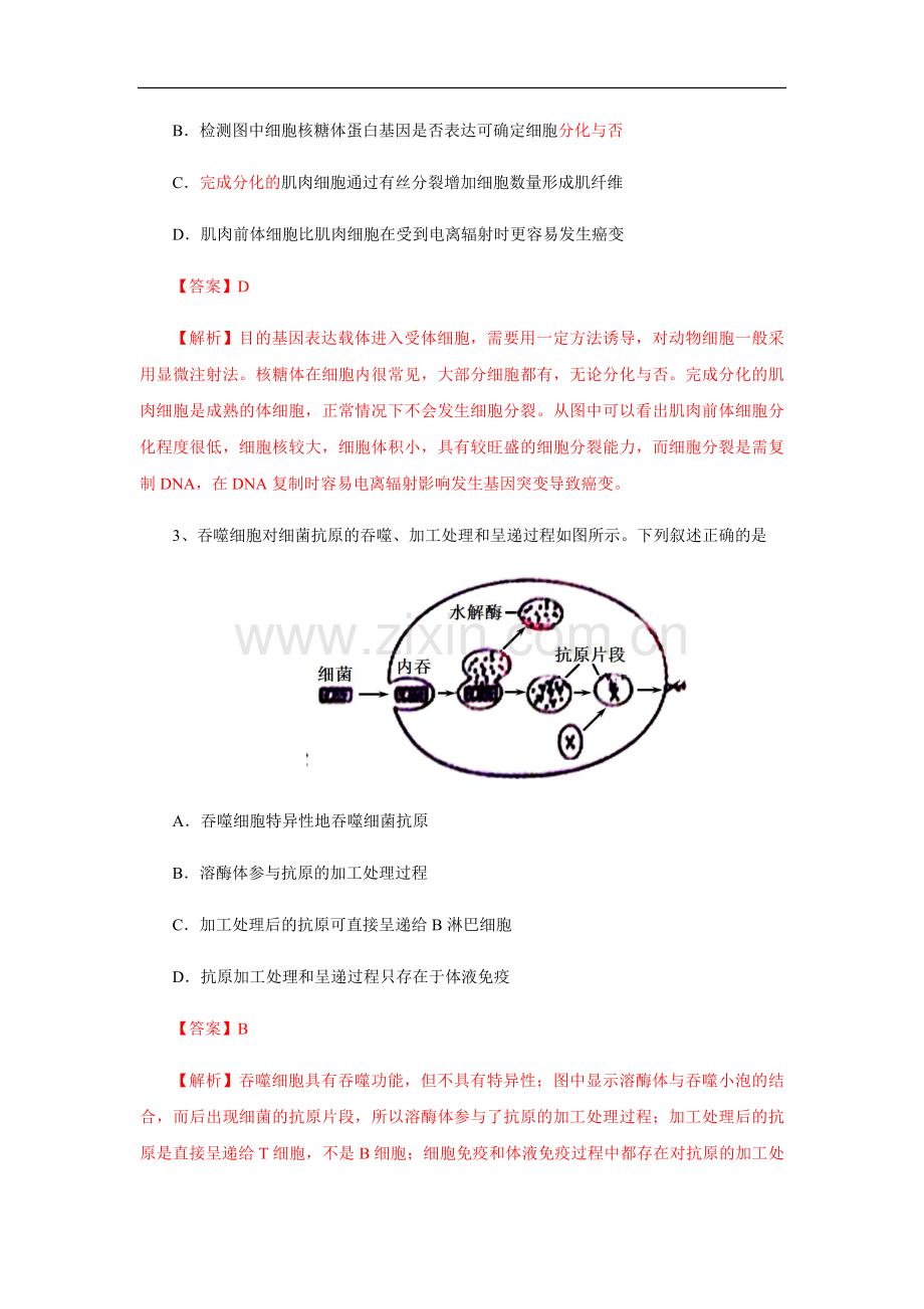 2013年高考真题 生物(山东卷)（含解析版）.pdf_第2页