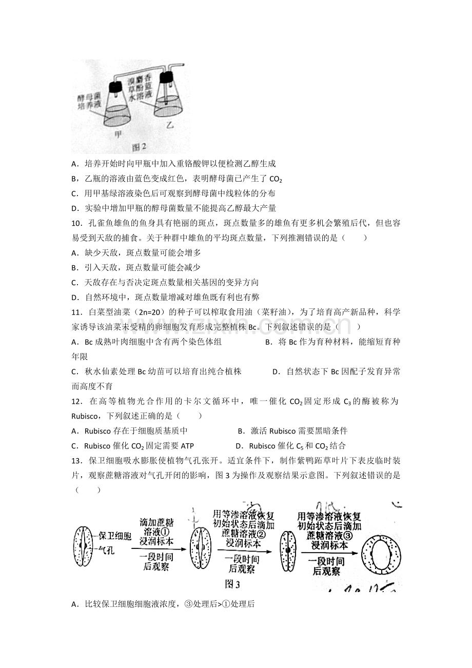 2021年广东高考生物（原卷版).pdf_第3页