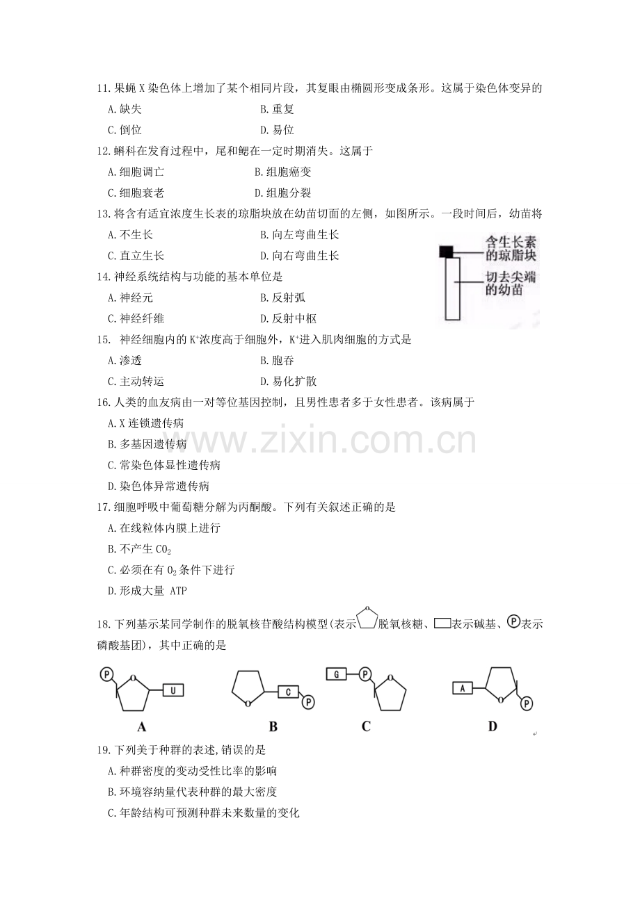 2016年浙江省高考生物【4月】（原卷版）.pdf_第2页