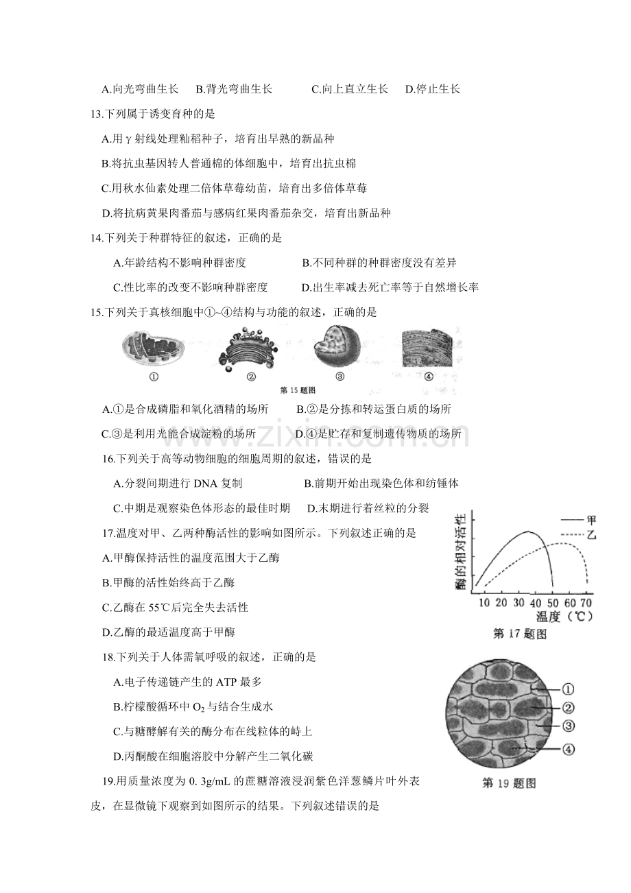 2015年浙江省高考生物【10月】（含解析版）.pdf_第2页