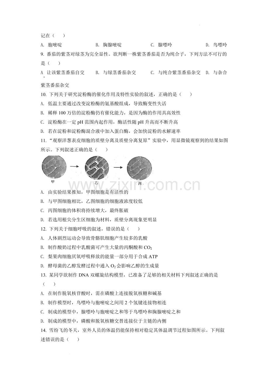 题目2022年6月新高考浙江生物高考真题（原卷版）.docx_第2页