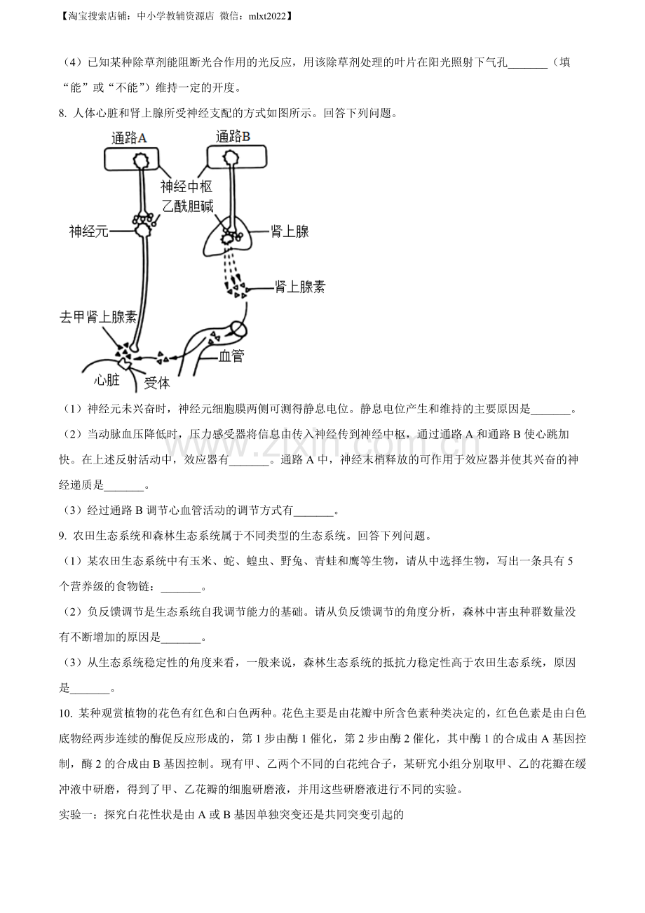 题目2023年高考全国乙卷生物真题（原卷版）.docx_第3页