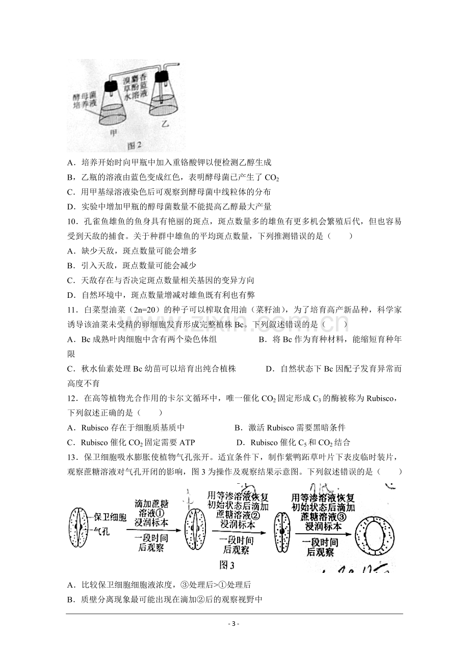 2021年高考真题—— 生物（广东卷） (原卷版）.doc_第3页