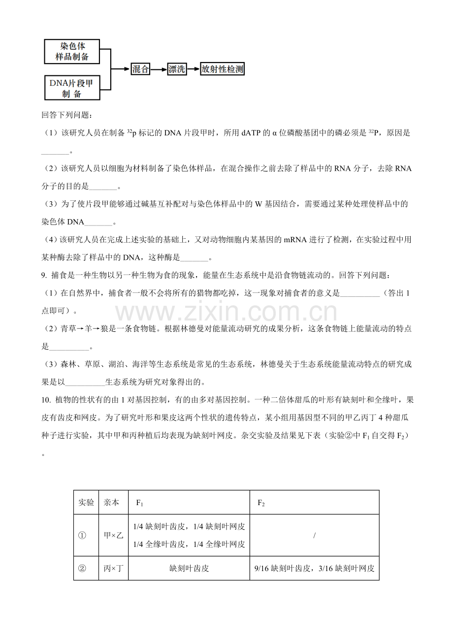 2021年全国统一高考生物试卷（全国甲卷）（原卷版）.doc_第3页