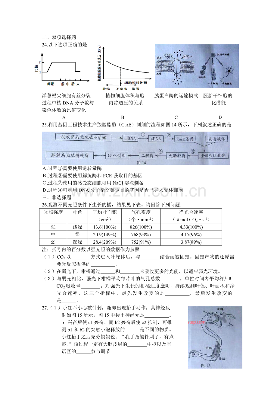 2014年广东高考生物试题及答案.pdf_第2页