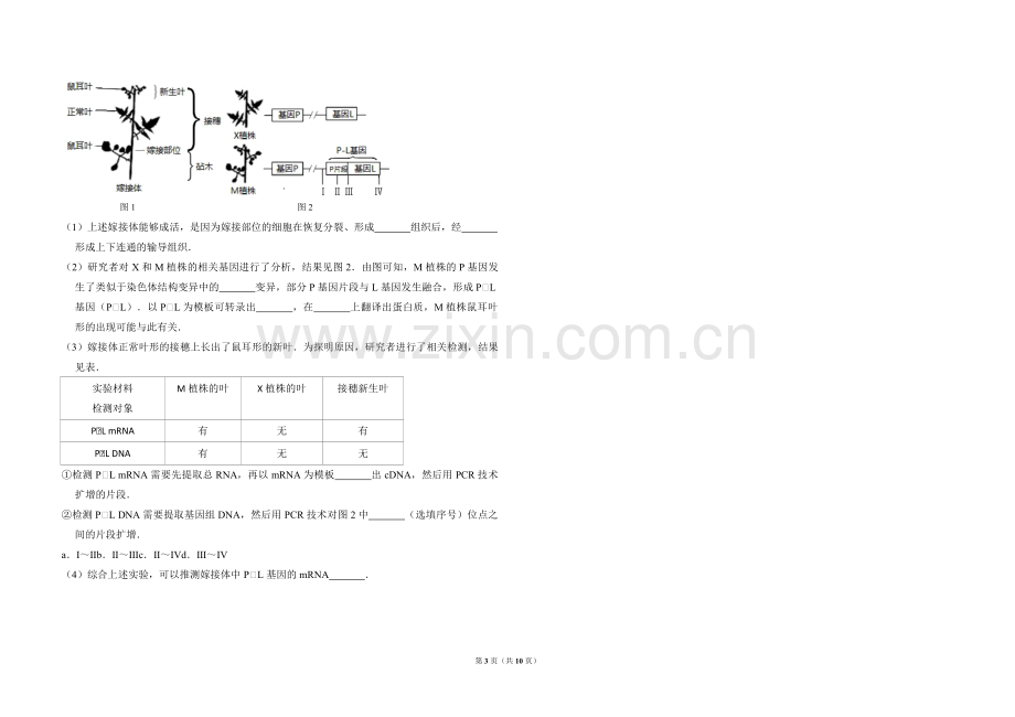 2016年北京市高考生物试卷（含解析版）.pdf_第3页