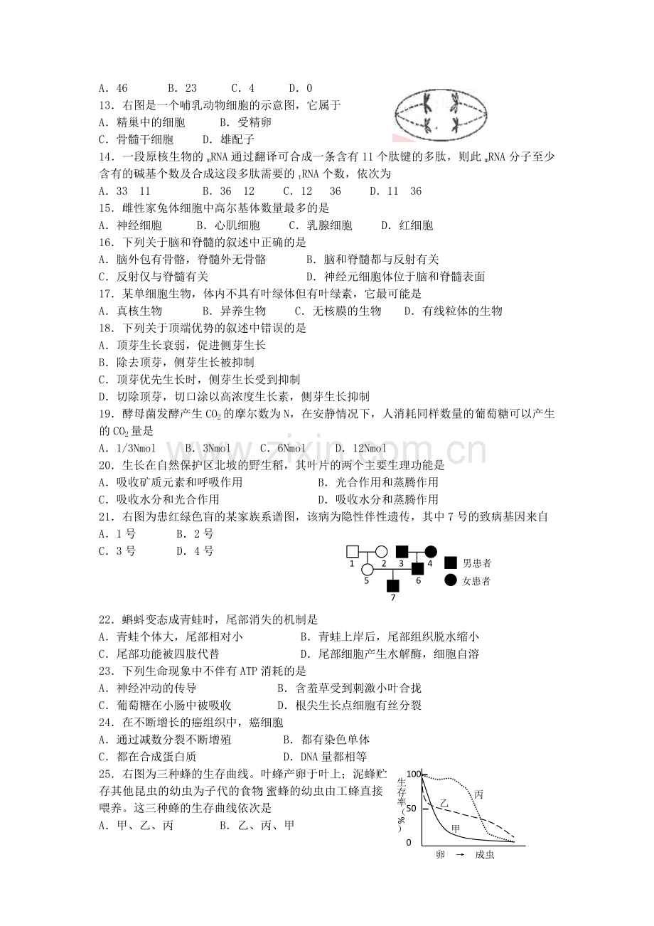 2005年上海高考生物真题及答案.doc_第2页