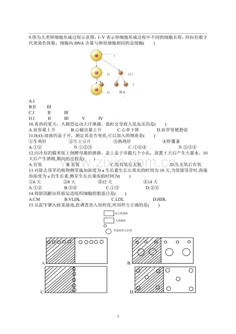 2020年上海市普通高中学业水平等级性考试生物试卷（pdf有答案）.pdf_第2页