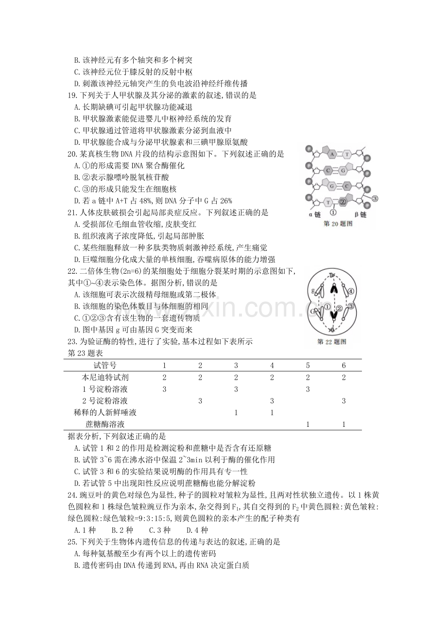 2017年浙江省高考生物【11月】（原卷版）.pdf_第3页