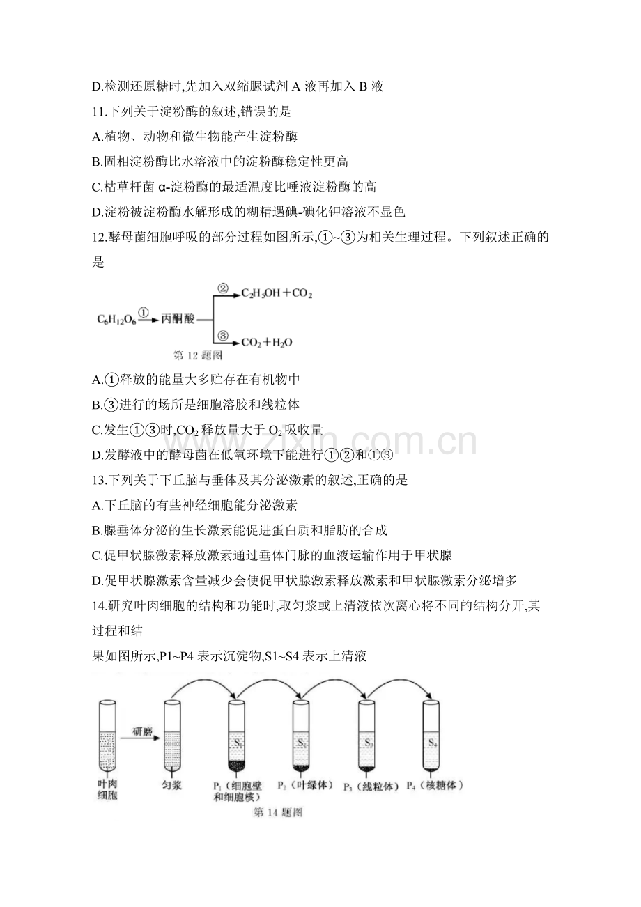 2020年浙江省高考生物【1月】（原卷版）.doc_第3页