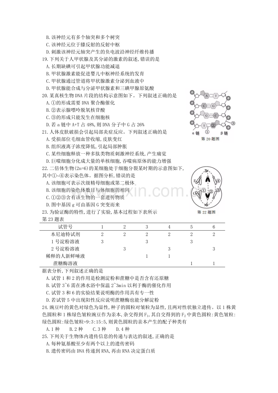 2017年浙江省高考生物【11月】（原卷版）.docx_第3页